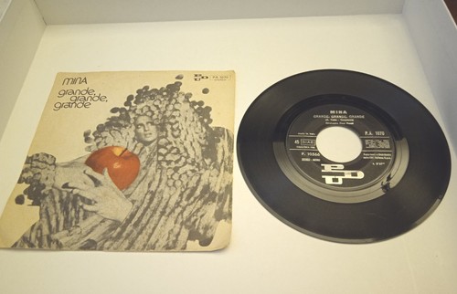 Disco vinile giri mina - vinile,