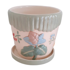 Vaso portafiori e piante in