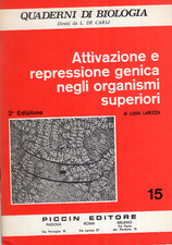 LIDIA LARIZZA, Attivazione