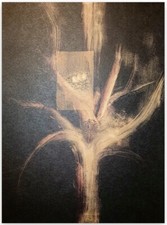 Paolo BRAMBILLA serigrafia con