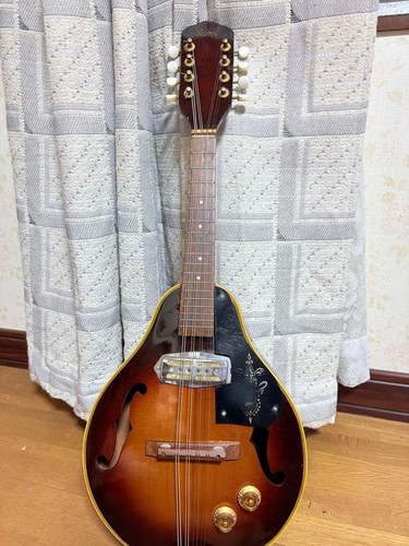 Mandolino elettrico corde - mandolino, 8