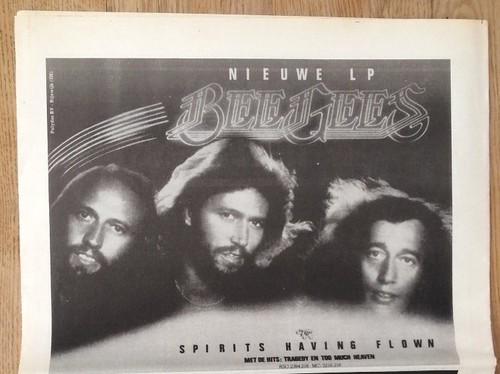 Bee gees spirits - gees, having