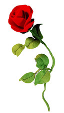 LENCI TORINO 60s italy