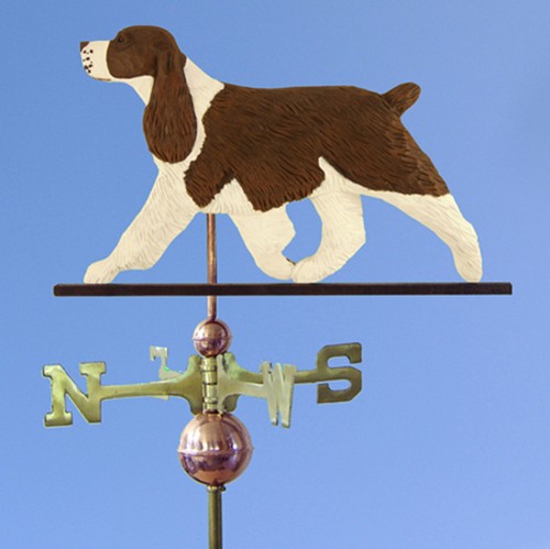 Springer spaniel inglese - springer, mano