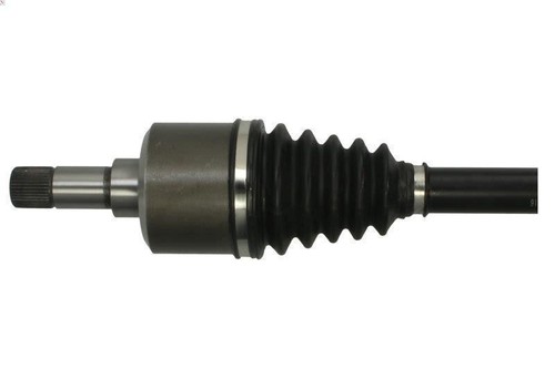 Albero motore pascal g2c173pc - motore,