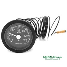 TERMOMETRO IN PLASTICA CON