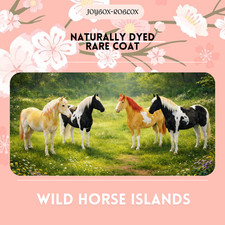 🐎 Isole Cavalli Selvaggi