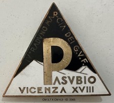  PASUBIO VICENZA IV° RADUNO