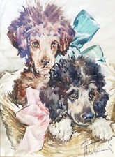 ALDO RAIMONDI: Raro Acquerello in Cornice, Firmato; Perfetto. STUPENDO!!!