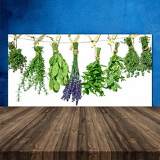 Parete posteriore cucina in