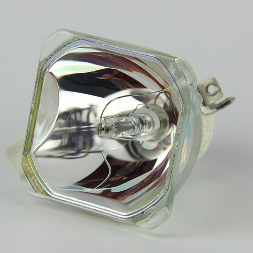 L2312u lampada proiettore - pk-l2312u,