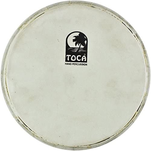 Percussioni vari pelli - percussioni,