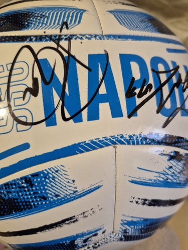 Pallone ufficiale ssc napoli - pallone,