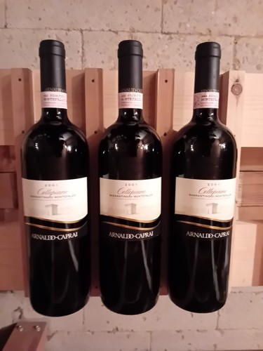 Sagrantino montefalco - sagrantino, di