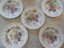Set of 5 Johnson Brothers