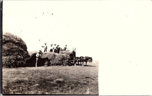 Rppc carro agricolo - di,