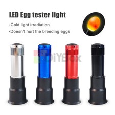 Tester uova LED luce fredda