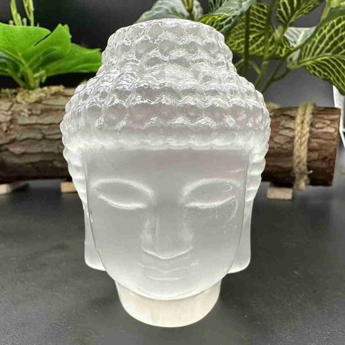 1pz testa buddha - in, gesso