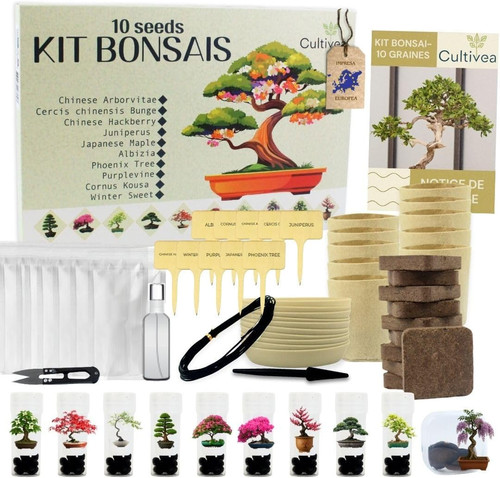 Kit bonsai alberi da - kit, 10