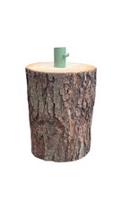 Vero Tronco Per Albero di