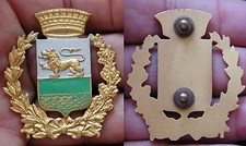 VV.UU. GUARDIA DI CITTA'