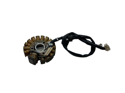 Statore alternatore magnete - statore,