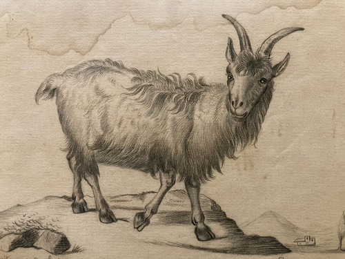 Disegno 1880 xix - disegno, matita