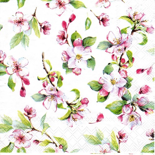 Serviettes papier - en,