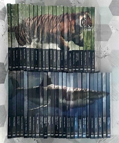 Natural killers predators - natural,