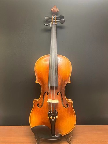Violin over 100 years - over,