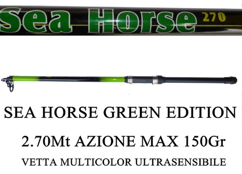Canna bolentino sea - bolentino, horse