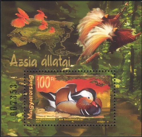 Ungheria 1999 anatra - ungheria,