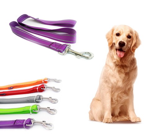 Guinzaglio per cani grandi - , in