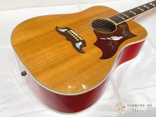 Chitarra elettrica acustica