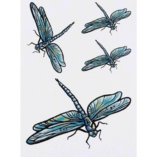 Tatuaggi trasferimenti - 4, tatuaggi/trasferimenti