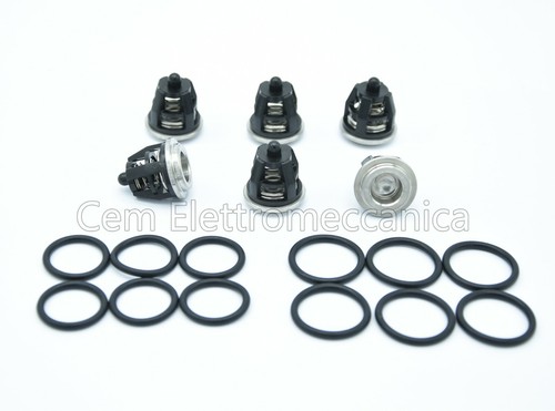 Kit valvole o ring - 6, +