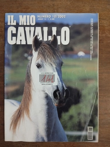 Mio cavallo 2002 - cavallo, n.10/2002