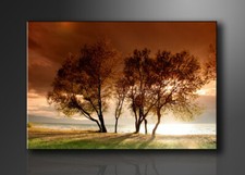 Quadro su tela Quadri moderni