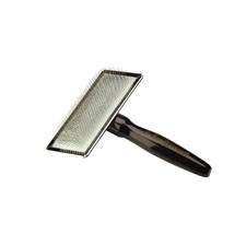 Iv san bernard cardatore medio