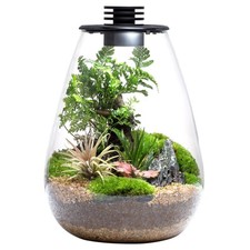 Bioloark Bio Bottle SD175