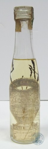 Miniature mignon kummel - miniature,