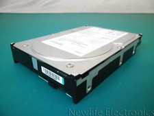 Seagate Ghepardo 146GB 10,000