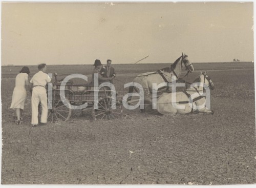 1950 area roma calesse - area,