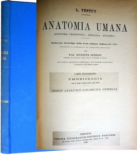 Embriologia anatomia umana - anatomia,
