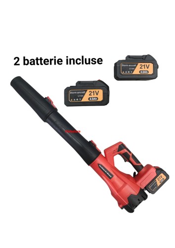 Soffiatore due batterie 21v - a,