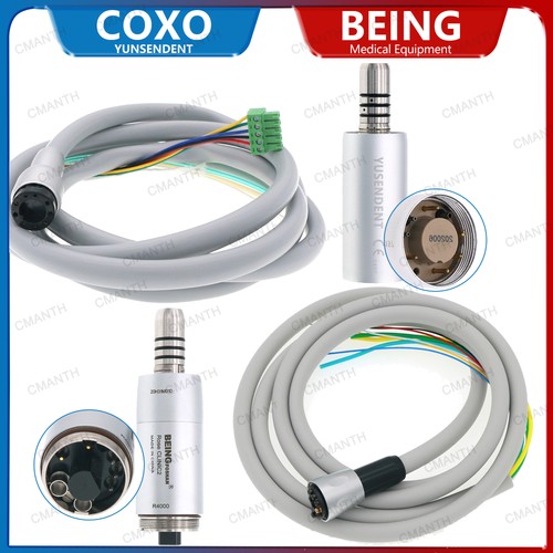 Coxo being micro motore - coxo,