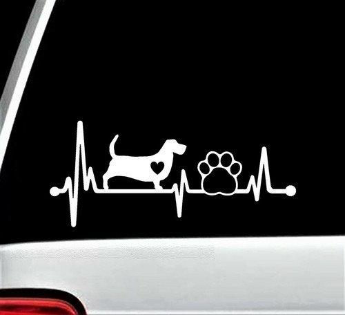 Basset hound heartbeat - basset,