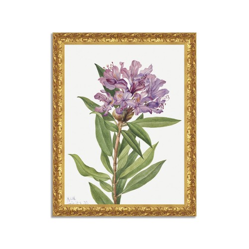 Quadro stampa tela effetto - quadro,