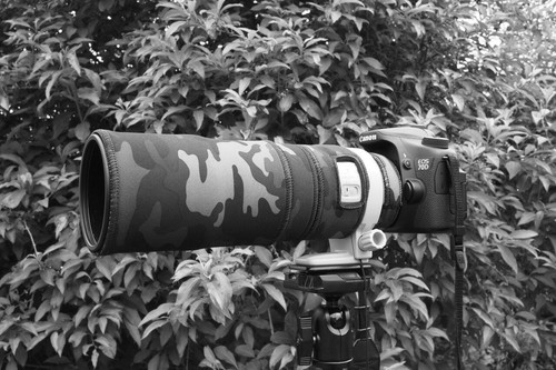Canon 300 is protezione - f4,