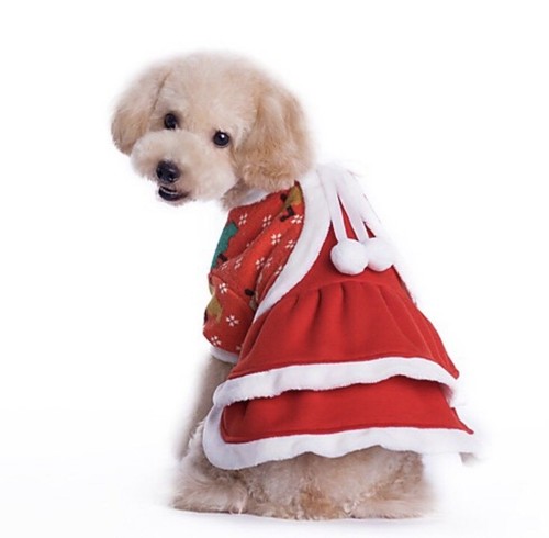 Cappotto cane natale rosso - cane,